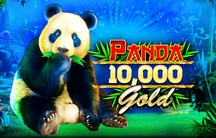 Panda Gold 10.000